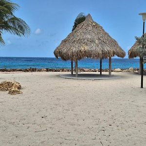 Studios With Beautiful Sea View